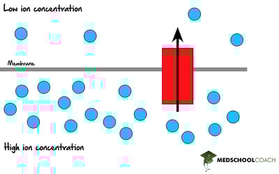 Proton Motive Force - MCAT Biochemistry