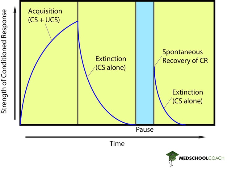 Figure illustrating the acquisition, extinction, and spontaneous recovery of the conditioned response.