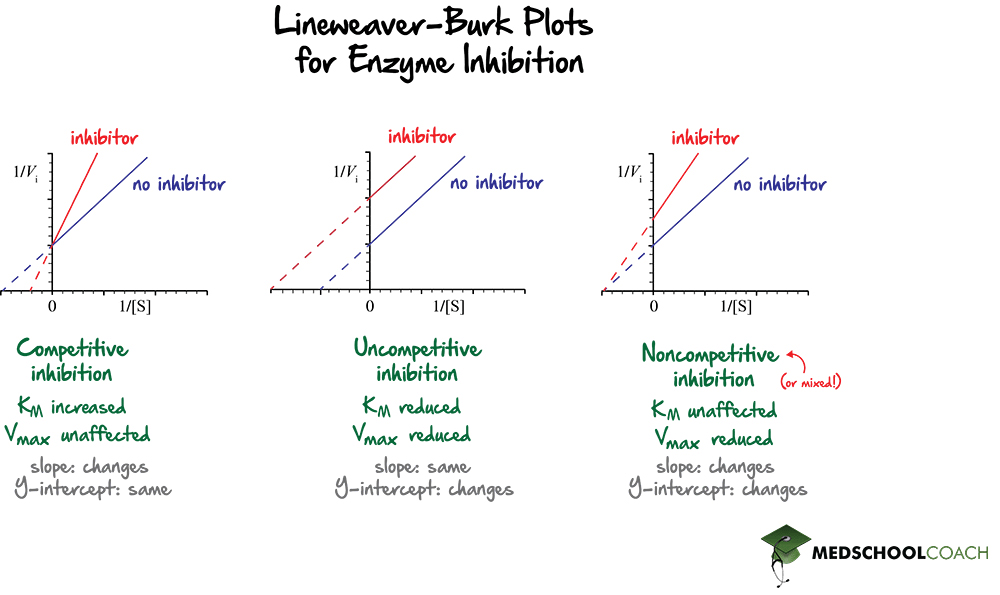 LineweaverBurkPlots-Fig2-1