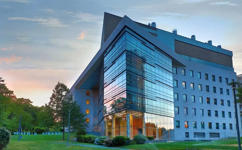 Untitled design - Albert Einstein College of Medicine