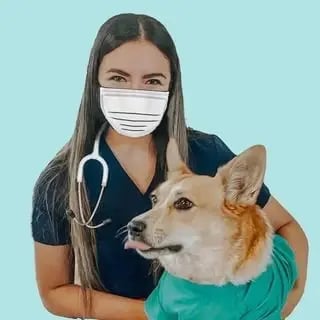 @whitecoatsandcorgis Instagram & TikTok Pre-Med Social Media Influencer