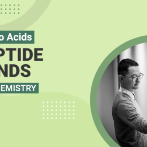 Amino Acids Peptide Bonds