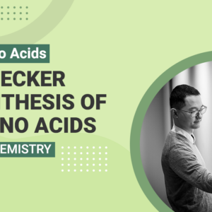 Amino Acids - Strecker Synthesis of Amino Acids