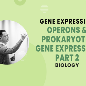 Operons & Prokaryotic Gene Expression Part 2 - Gene Expression - MCAT Biology