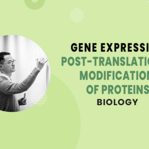 Post-Translational Modification of Proteins - Central Dogma - Gene Expression - MCAT Biology