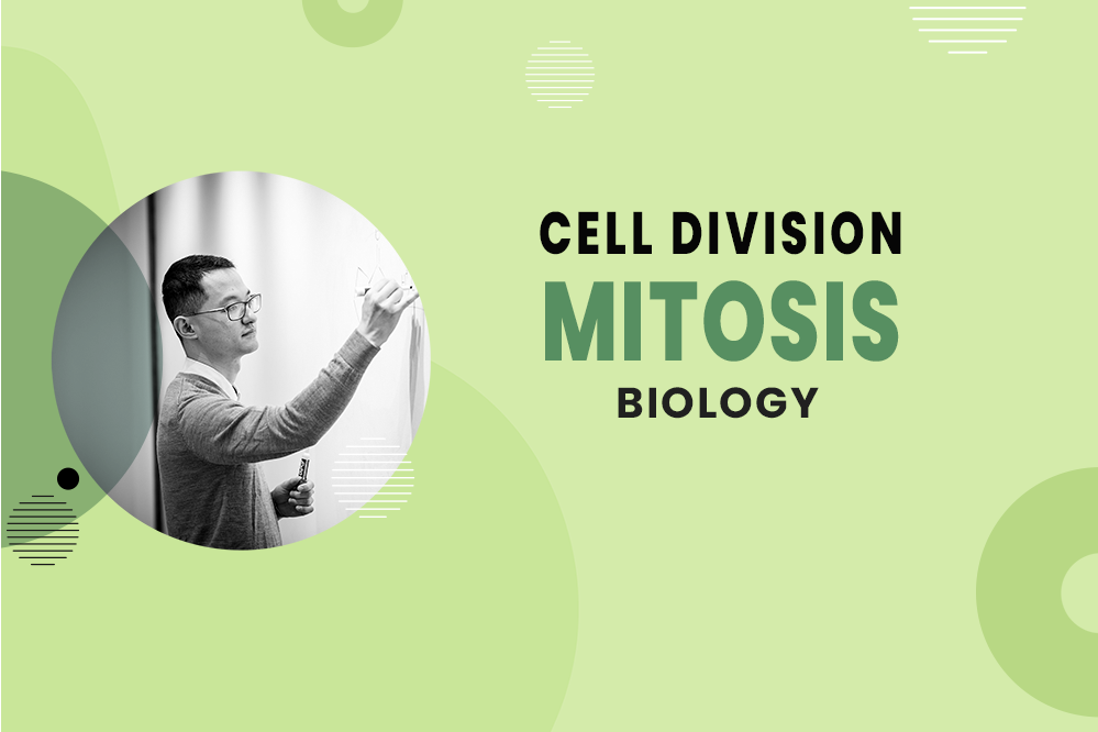 MCAT Biology - Cell Division - Mitosis