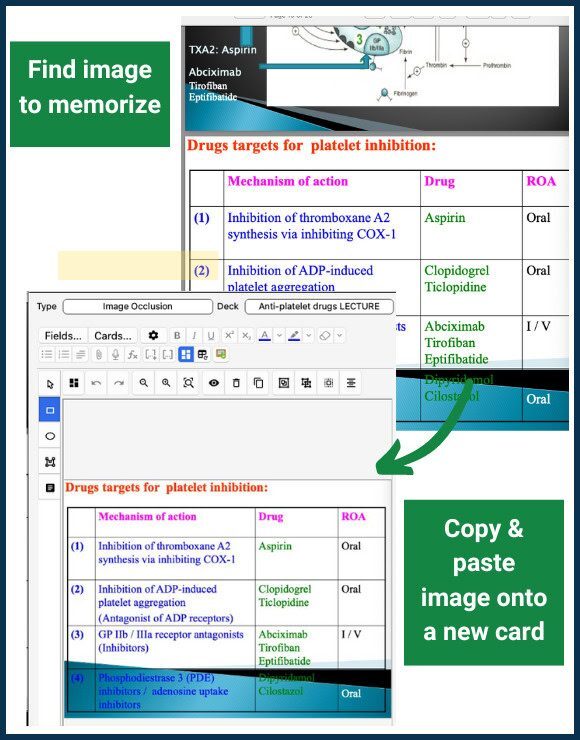 Create Image Occlusion cards from lecture Step 1: Copy and paste a lecture data table onto a new card