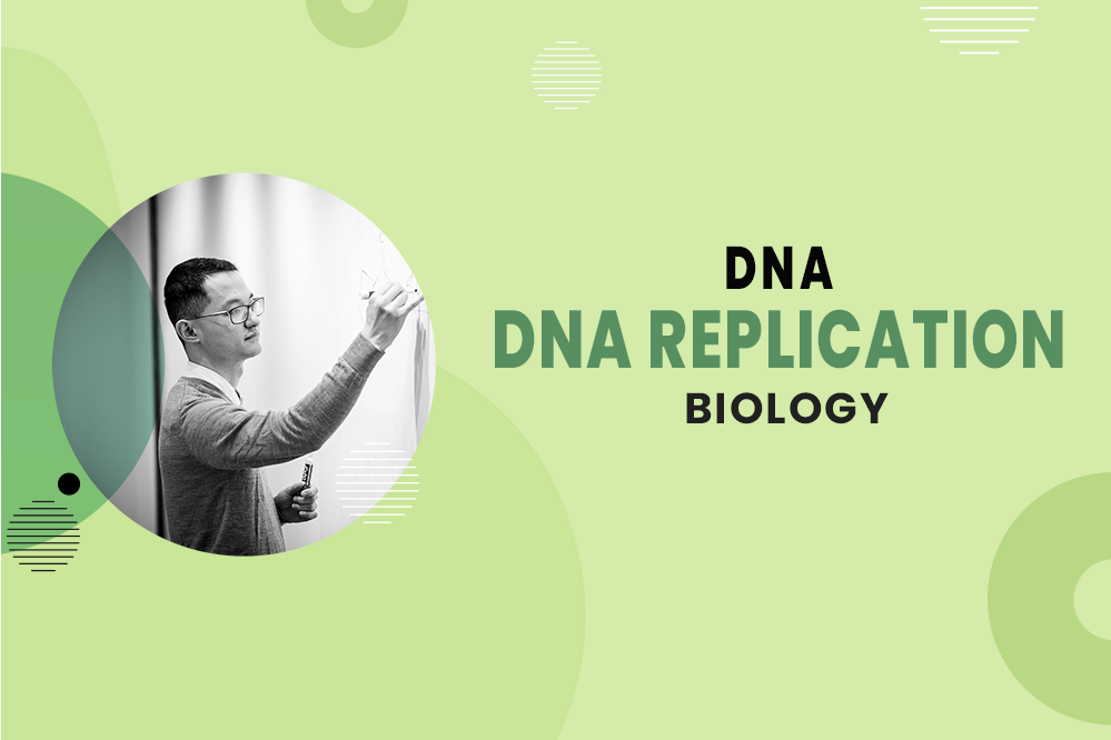 MCAT Biology - DNA - DNA Replication
