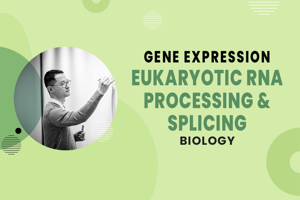 MCAT Biology - Gene Expression - Eukaryotic RNA Processing & Splicing