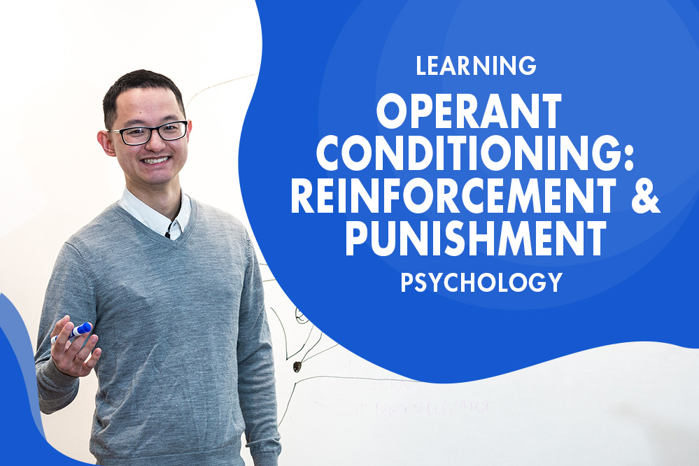 MCAT Psychology - Learning - Associative Learning - Operant Conditioning: Reinforcement & Punishment