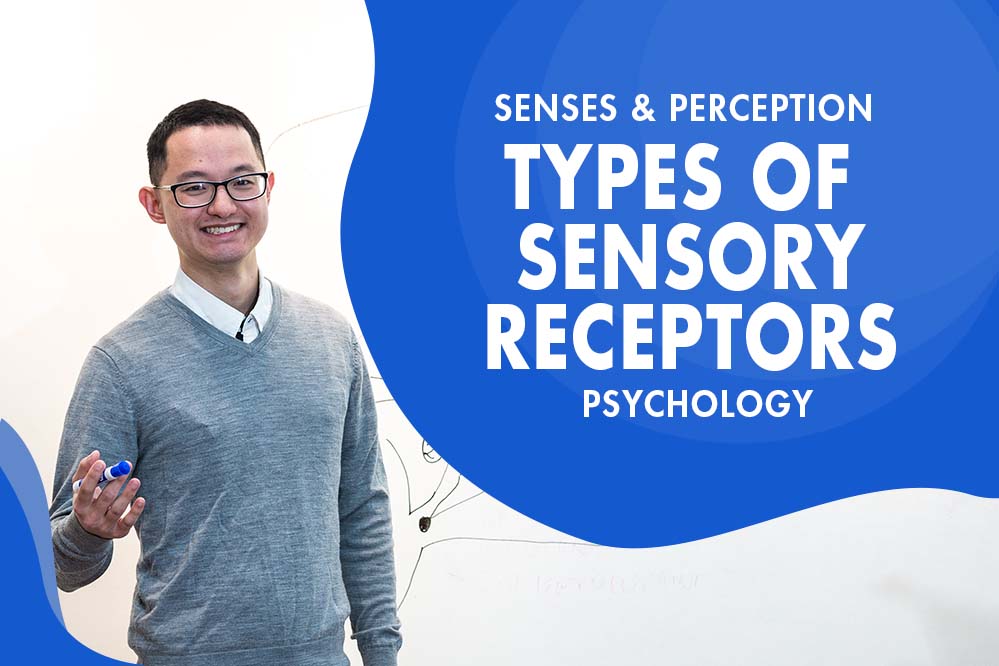 MCAT Psychology - Senses & Perception - Senses - Types of Sensory Receptors