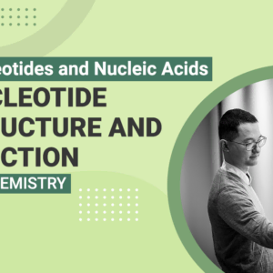 Nucleotides and Nucleic Acids Nucleotide Structure and Function