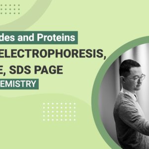 Peptides and Proteins - Gel Electrophoresis PAGE SDS PAGE