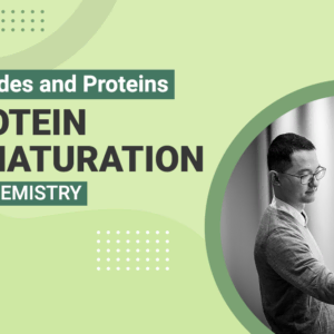 Peptides and Proteins Protein Denaturation