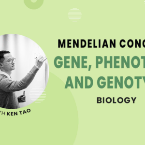 Genes, Genotype, and Phenotype - MCAT Biology