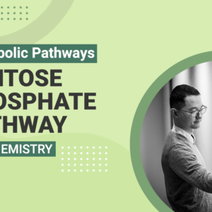 Pentose Phosphate Pathway - MCAT Biochemistry